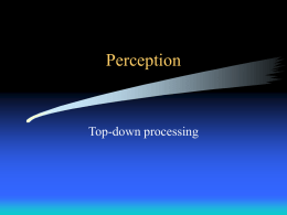 Perception - s3.amazonaws.com