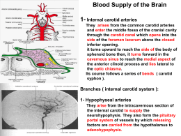 15-Blood supply of b..