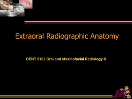 03 Extraoral Anatomy 08