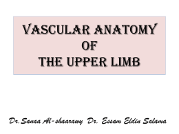 11-2014-15 Vascular anatomy of the upper limb)