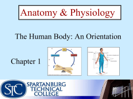 Organ Systems - Cobb Learning