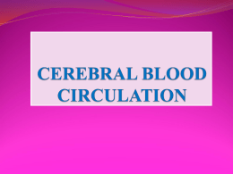 19blood supply of cerebrum
