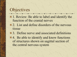 Nervous System: Cranial nerves
