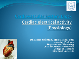 L2-Cardiac electrical activity