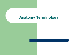 Anatomical Terminology, Tissues