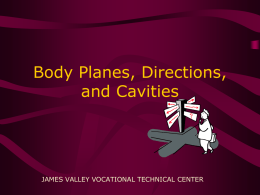 Body Planes and Directional Terms