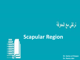 Scapular Region