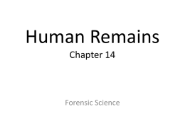 Ch_14_Human_Remains_PPx