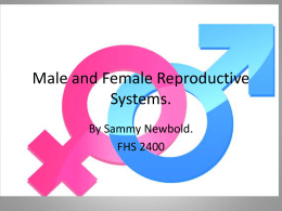 Male and Female Reproductive Systems.