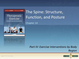 Chapter 14 Spine Structure - PHT 1228c Therapeutic Exercise II