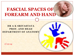 Fascial Spaces of Forearm And Hand 1
