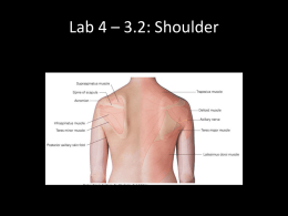 Lab 4 part 2 Shoulder 3