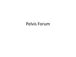Pelvis Forumx