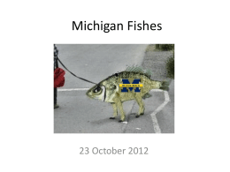 Michigan Fishes II