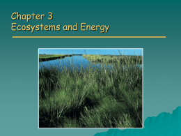 CH 3 Ecosystems and Energy