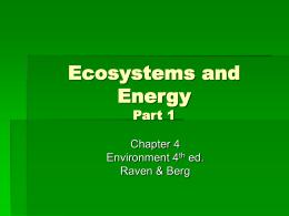 Ecosystems and Energy