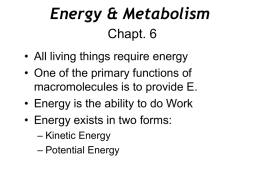 Chapt. 6 Energy & Metabolism