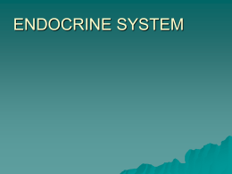 ENDOCRINE SYSTEM 10