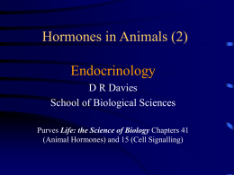 Hormones in Animals - Royal Holloway, University of London