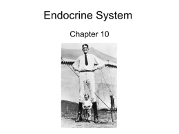 Endocrine System - Hartnell College