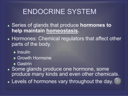 ENDOCRINE SYSTEM - Grade 12 Biology