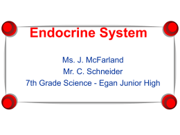 Endocrine Physiology - Welcome To Curt's Human Disease Website