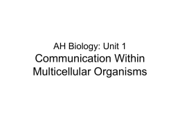 (2e Communication within multicellular organisms)