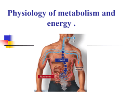 38 Physiology of metabolism and energy