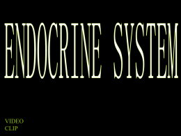 intro to endocrine - OCPS TeacherPress