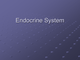 EndocrineSystem