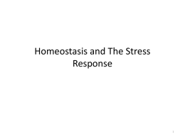 Homeostasis and Stress