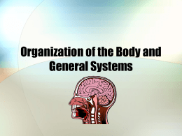 Organization of the Body and General Systems