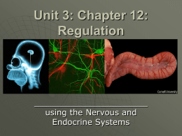 Unit 3: Chapter 12: Regulation