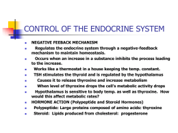 CONTROL OF THE ENDOCRINE SYSTEM
