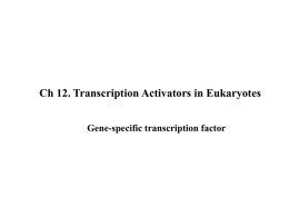 3. Activator, gene-specific transcription facotr