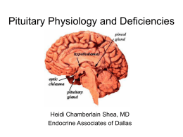 Pituitary Physiology and Deficiencies