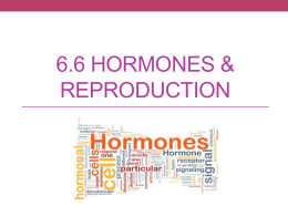 6.6 Hormones & Reproduction