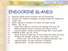 ENDOCRINE GLANDS