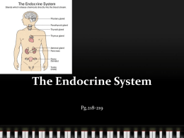 The Endocrine System - Course