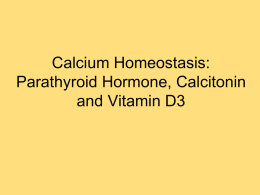 Calcium homeostasis: regulation by Parathyroid Hormone