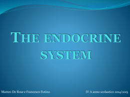 The endocrine system - Liceo Scientifico Fermi (CS)