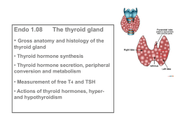 Synthesis of thyroid hormones