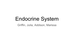 Endocrine System - Mercer Island School District