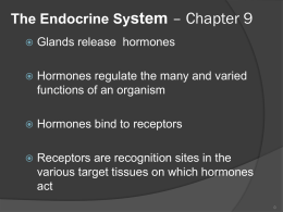 The Endocrine System - Respiratory Therapy Files