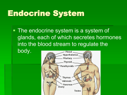 Endocrine 2/1
