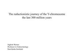 The Reductionistic Journey of the Y
