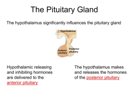 17. Pituitary and Adrenal Glands
