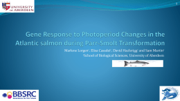 Gene Response to Photoperiod Changes in the Atlantic salmon