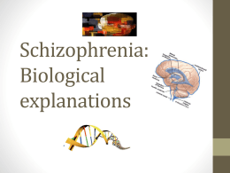 Schizophrenia_Biological_explanations File