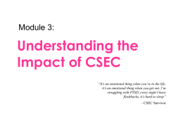 What is CSEC?